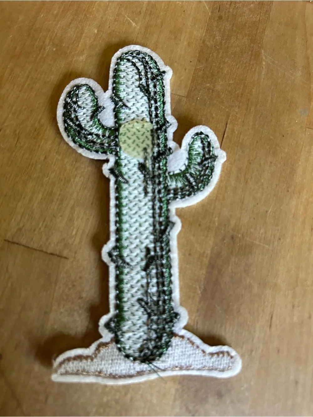 Green Cactus Iron-On Patch - Decorative Women Accessory
